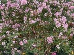 -杭州城北体育公园