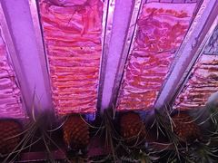 -环球约客烤涮自助(铜锣湾店)
