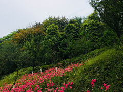 -重庆平顶山公园