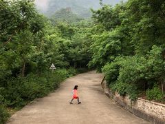 景点-阳台山自然风景区