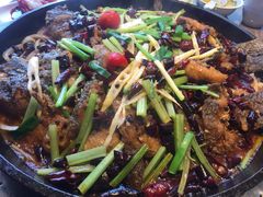 -老板恋上鱼(恒隆广场店)