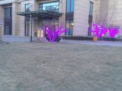 -远洋未来广场(育慧北路店)