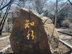 -吉林大学(南岭校区)