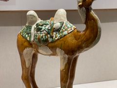 -深圳博物馆(古代艺术馆)