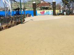 -芜湖新华联大白鲸海洋公园