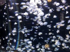 -太平洋海底世界