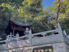 -十八棵（老龙井）御茶园(老龙井店)