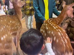 -正佳雨林生态植物园