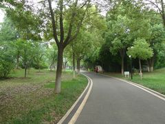 -堤角公园