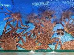 -阿伟海鲜楼·福建菜(延寿店)