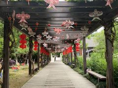 -白马涧龙池景区
