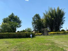 -紫颐香薰山谷景区