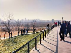 -汉长安城未央宫国家考古遗址公园