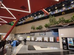 -谢列梅捷沃国际机场