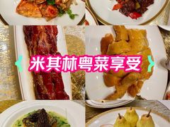 -唐阁(香港朗廷酒店)