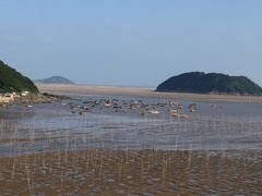 -北岐滩涂