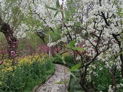 -南汇桃花村