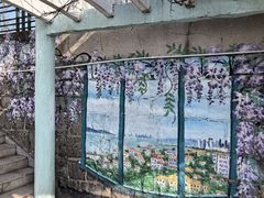 -观象山公园