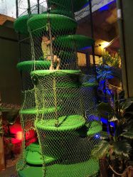 -恐龙探索乐园(磁器口店)