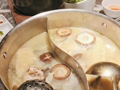 -禄婶鸡煲·打边炉