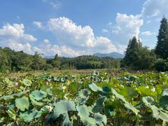 -清漾毛氏文化村