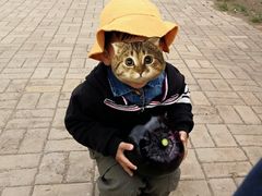 -万源龙顺度假庄园生态观光园