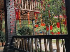 -天门沟九州驿站树上汤泉