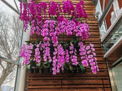 -国家植物园南园