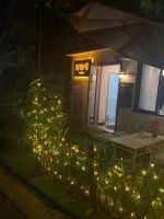 -树咖啡tree coffee