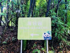 -中国大熊猫保护研究中心雅安碧峰峡基地