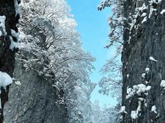 -光雾山旅游景区