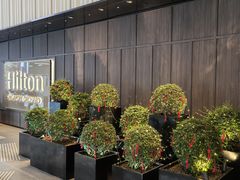 -新加坡乌节希尔顿酒店 (SG Clean)