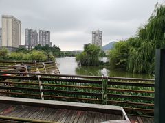 -凤池园