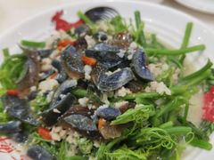 上汤南瓜苗-陈记粤湛鸡饭店