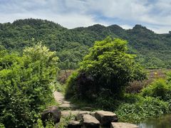 -中国茶叶博物馆(双峰馆区)