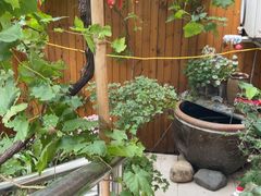 -臭鳜鱼人家·老字号徽菜