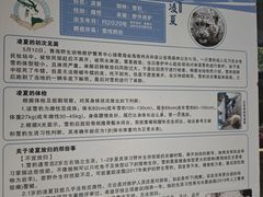 -青藏高原野生动物园