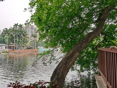 -荔湾湖公园