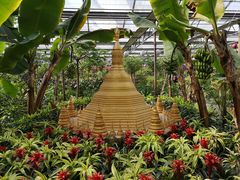 -南宫五洲植物乐园