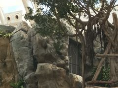 -香港海洋公园