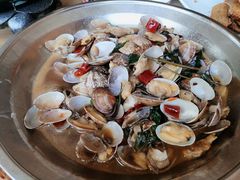 铜盘花蛤-新白鹿餐厅(城西银泰城店)