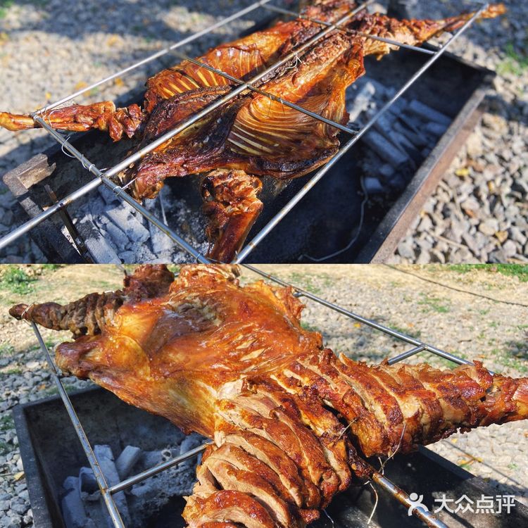 胡导带你游德清 | 布布熊生态农场