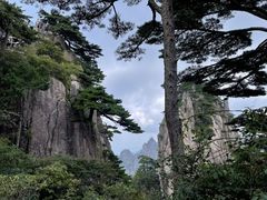 -黄山风景区