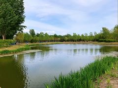 -东郊湿地公园