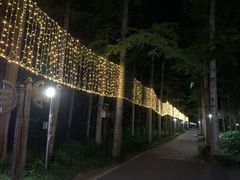 -上海怡沁园度假酒店