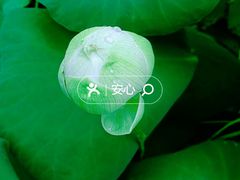 -太平禅寺