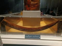 -金沙遗址博物馆