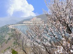 -北京十三陵国家森林公园蟒山景区
