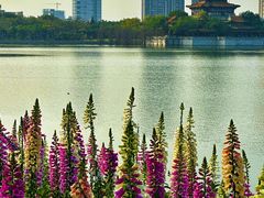 -顺峰山公园