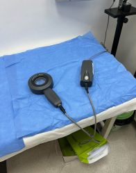 -上海交通大学医学院附属上海儿童医学中心(陆家嘴总院区)